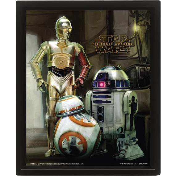 3D obraz Star Wars (Droids)                    
